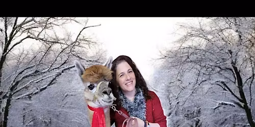 Farm Animal Holiday Photos
