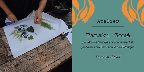 Tataki Zom\u00e9 - atelier court