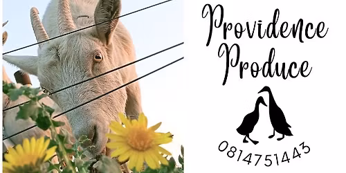 Cheese making course