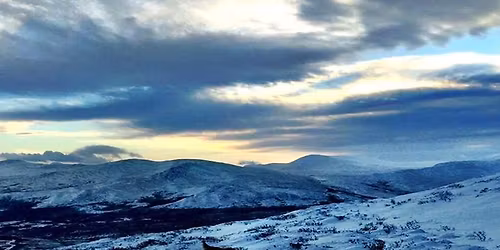 IRSKSETTER TREFF I ALTA