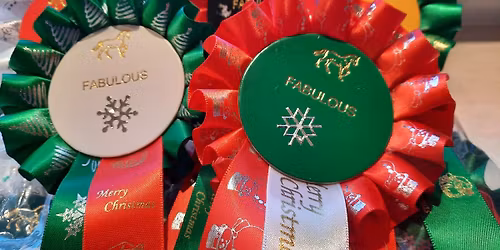 Xmas Jumper Clear Rounds \ud83c\udf84\ud83c\udf85\ud83c\udf84