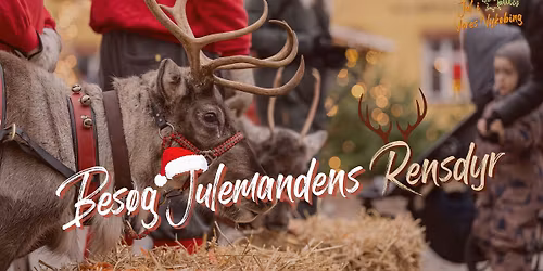 🎅🦌 Besøg julemandens rensdyr