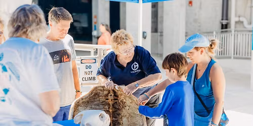 Sea Turtle Awareness Day 2026