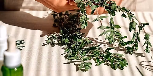 Frauenwildkr\u00e4uter: Selfcare\u2011Werkstatt