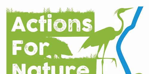 Actions for Nature Skibbereen Project Launch