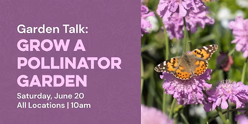 Garden Talk: Grow a Pollinator Garden | All Locations