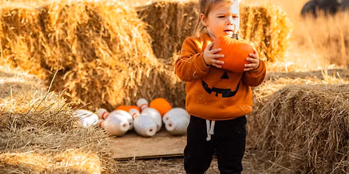 Pumpkin Patch Express
