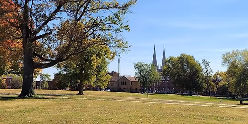 Hyde Park Tree Blitz