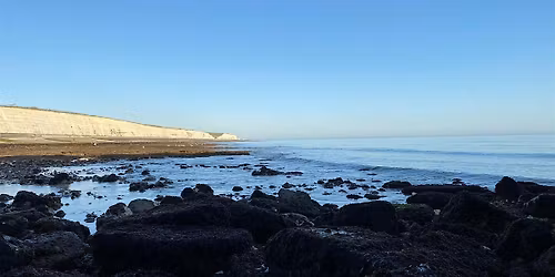 Sunset Coastal Foraging Valentines Day -  Brighton - Sea Veg and Sea W**d.