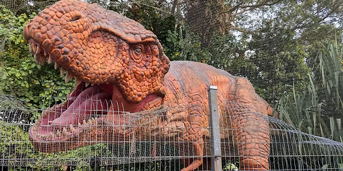 Free the Pok\u00e9mon Tour @ Changi Jurassic Mile