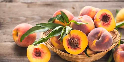 Summer Hymn Sing & Fellowship