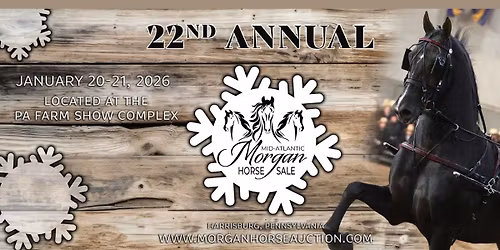 Mid-Atlantic Morgan Horse Sale