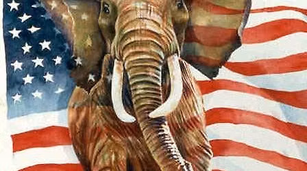 Get out the vote Beefsteak