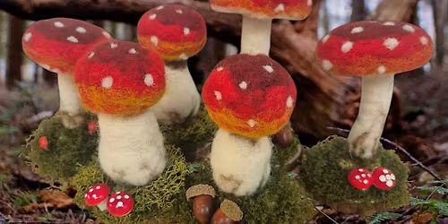 Needle Felted Fungi- Charlotte's Crafty Corner (morning)