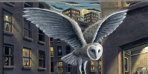 PJ CROOK IN CONVERSATION