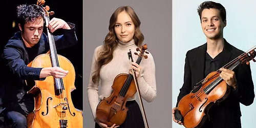 Goldberg Variations for String Trio
