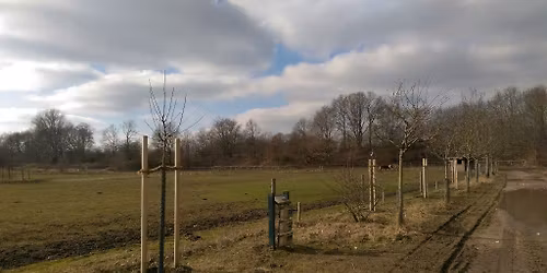 Kurs: Obstbaumschnitt