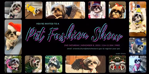 Domestic Pet Fashion Show
