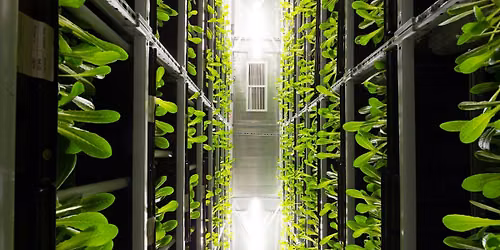 "Vertical Farming": In-Person Badger Talk in Janesville, WI