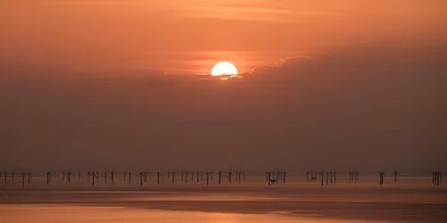 A Solstice Gathering