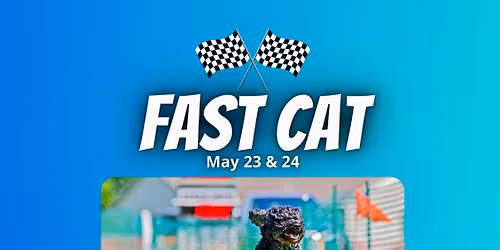 Fast CAT Tests