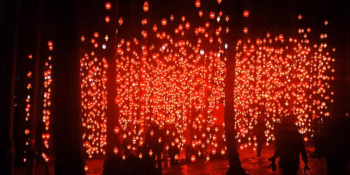 Exclusive Light Walk in Ekebergparken