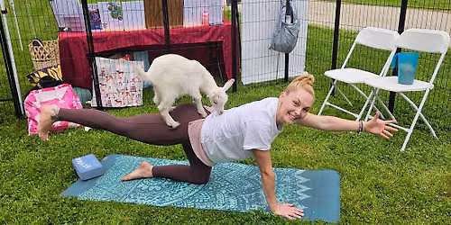 Baby Goat Yoga at Vanished Valley Brewing Company