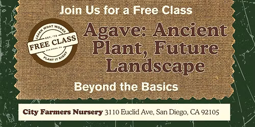 Agave: Ancient Plant, Future Landscape