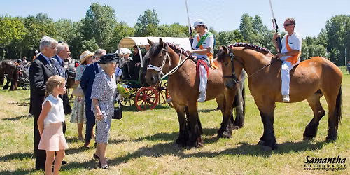 Zeeuwse dag van het paard 55e editie 