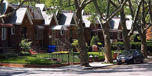 Marine Park Street Tree Care w\/ MPYAA & NYC Parks