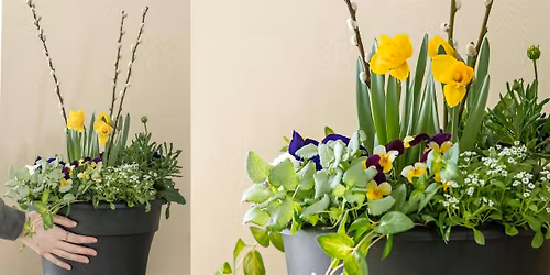 Make-n-Take : Cold Tolerant Container Garden at Mahoney's Tewksbury