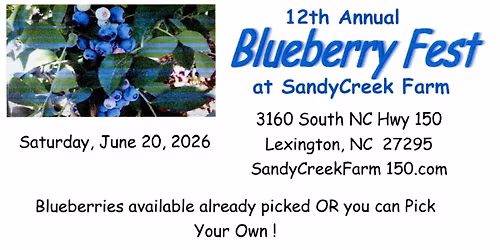 Blueberry Festival 