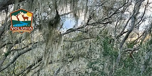 Spruce Creek Mound Hike
