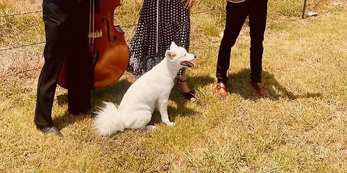 Hot Club of Cowtown - Early Show at the Big Top! Presented by Sig's Lagoon!
