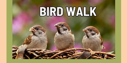 Saturday Bird Walk