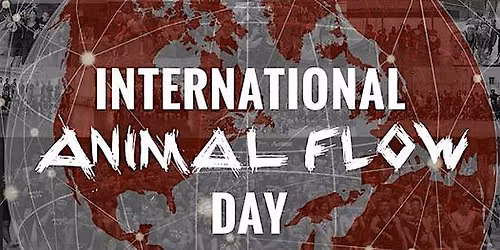 Flow Jam - International ANIMAL FLOW Day