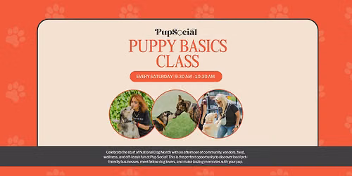 Puppy Basics Class