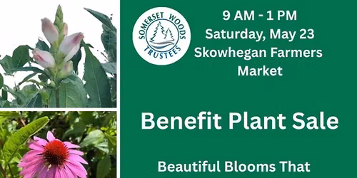 Benefit Plant Sale