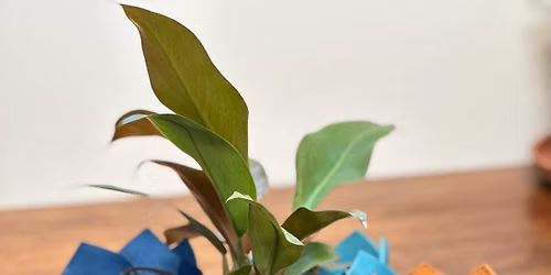 Dress Your Plants: A Leather Cozy Workshop