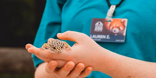 Toledo Zoo Hiring Event