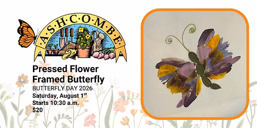 Pressed Flower Framed Butterfly