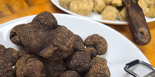 Bern's Steak House Truffle Dinner featuring the Wines of Antinori