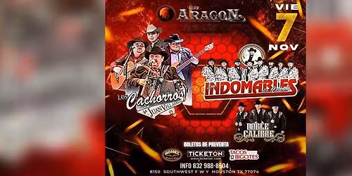 LOS CACHORROS DE JUAN VILLARREAL, LOS INDOMABLES DE CEDRAL