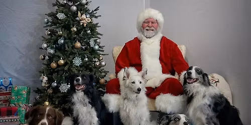 Pet Photos with Santa