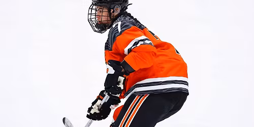 Parking Princeton Tigers at RPI Engineers Mens Hockey