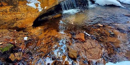 Winter Stillness:A Reset for Heart, Body and Mind