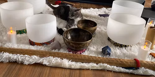 Purrrfect Harmony: A Cat Cafe Sound Bath