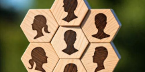 Specialist Business Advice for North Somerset Social Enterprises