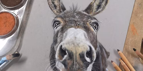Fun Nosy Donkey Pastel Workshop