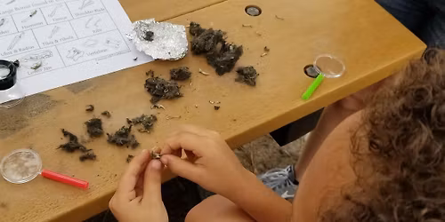 Free Children's Program at the L.W. Paul Living History Farm